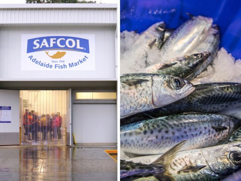 Safcol opens new $11m fish market in SA’s Thebarton