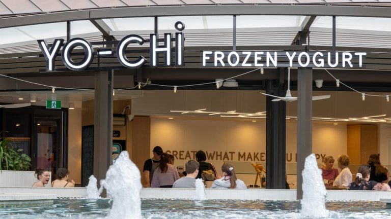 Fro-yo has become retail’s sweetest tenant, but how long can the sugar rush last?